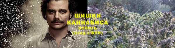 метадон Заводоуковск