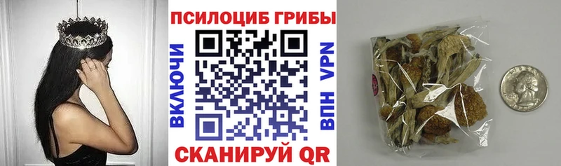 даркнет сайт  Ковров  Псилоцибиновые грибы мицелий 